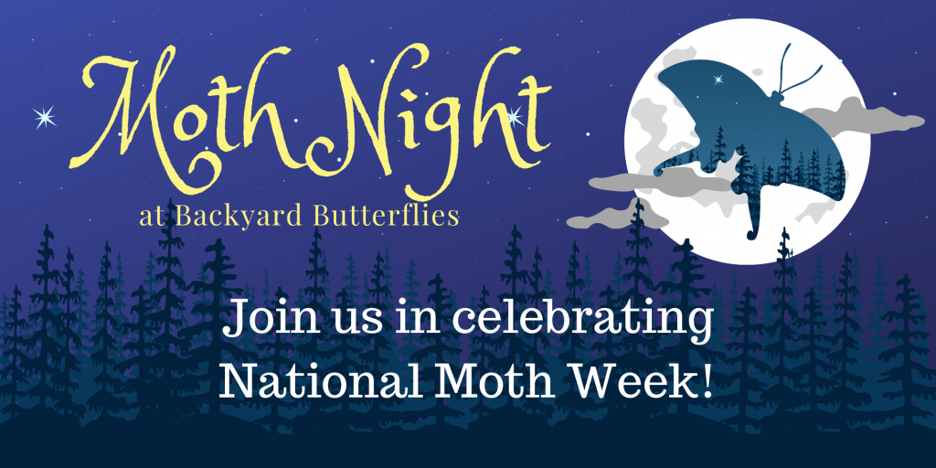 2nd Annual Moth Night (1)
