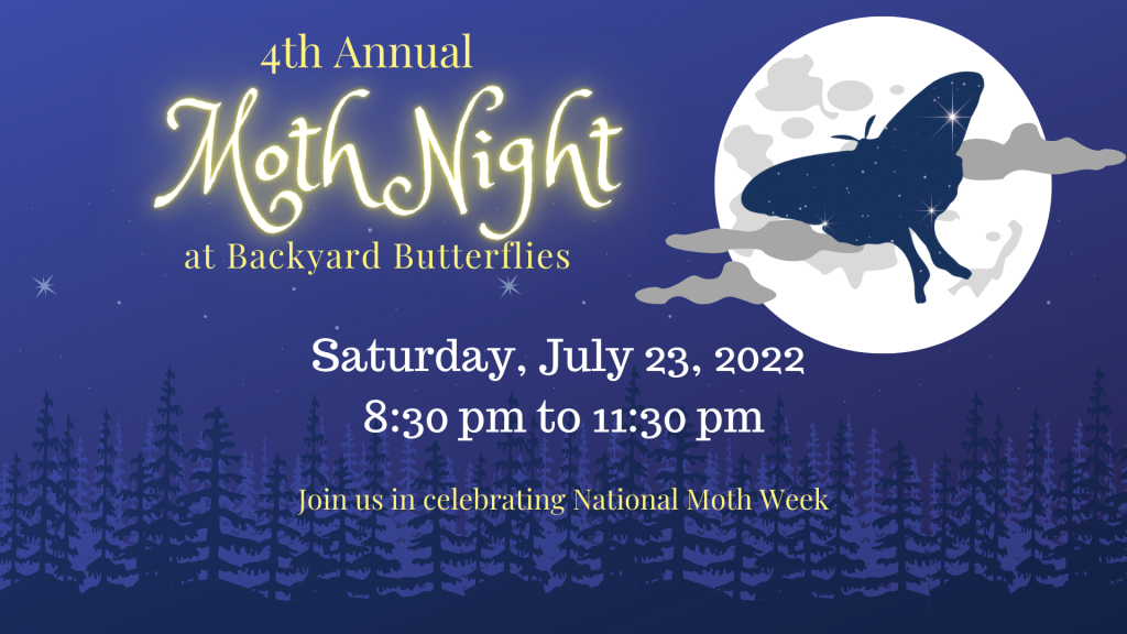 Moth Night Facebook Cover (1)