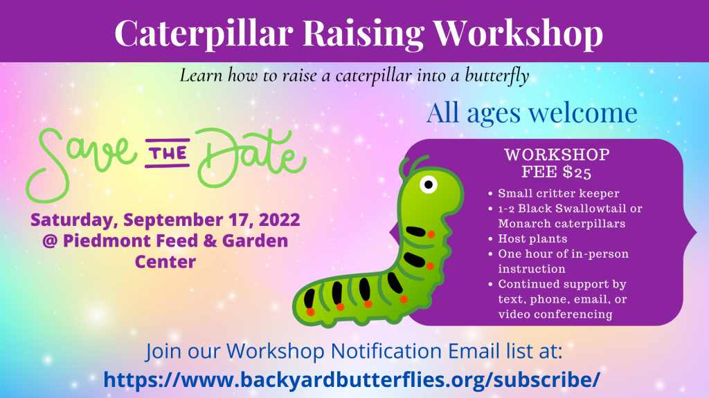 Caterpillar Raising Workshop Promo