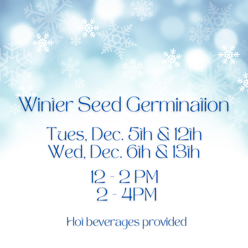 Winter Seed Germination