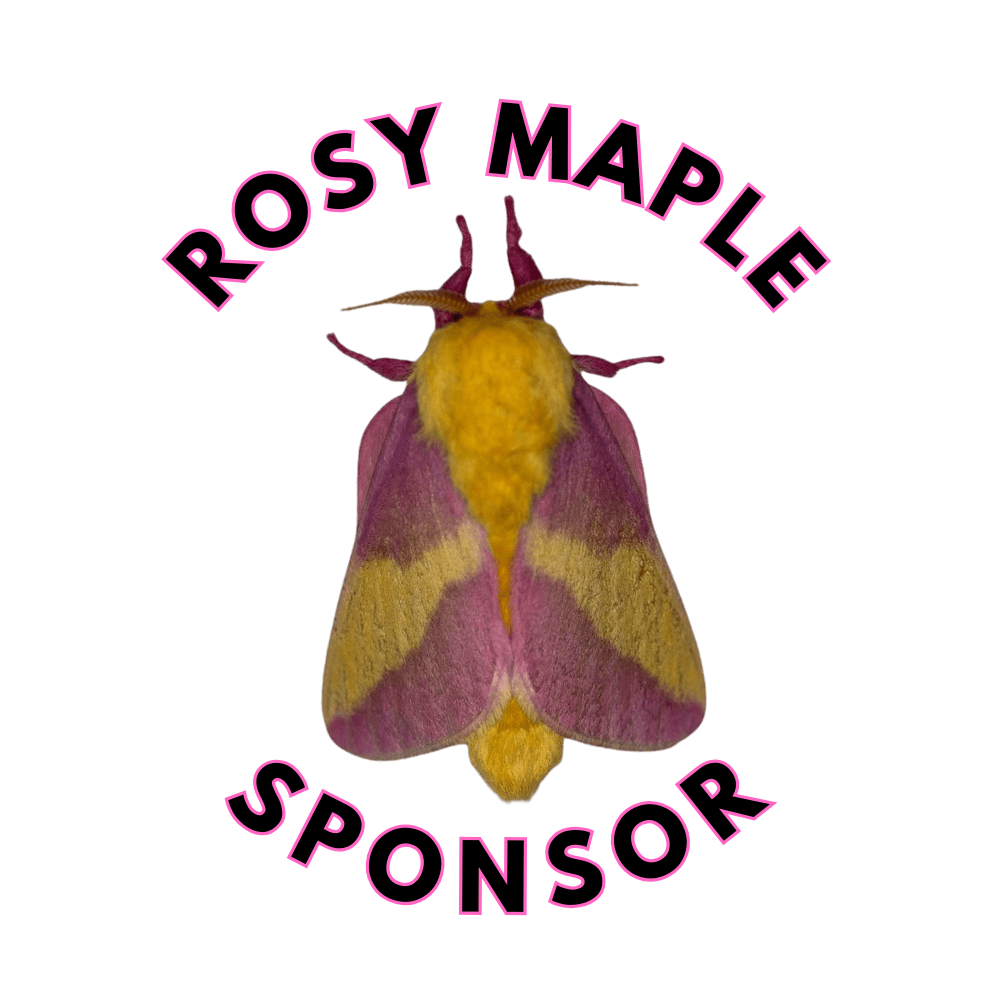 Rosy Maple Sponsor
