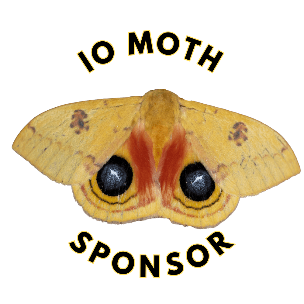 Io Sponsor