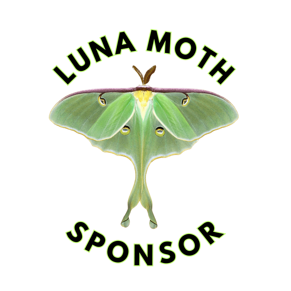 Luna Sponsor